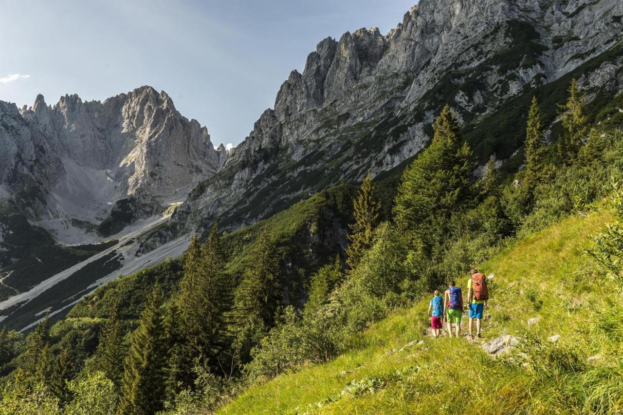 Trattenbachhof Scheffau am Wilden Kaiser Eksteriør billede